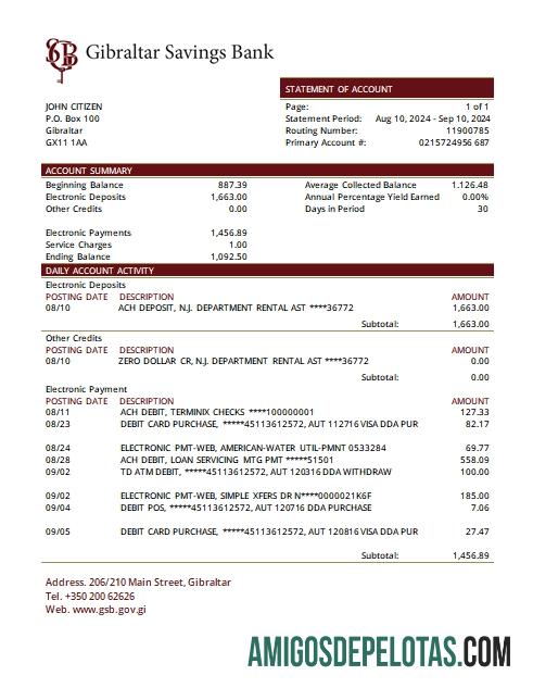 Gibraltar Savings Bank Statement Scr amostra
